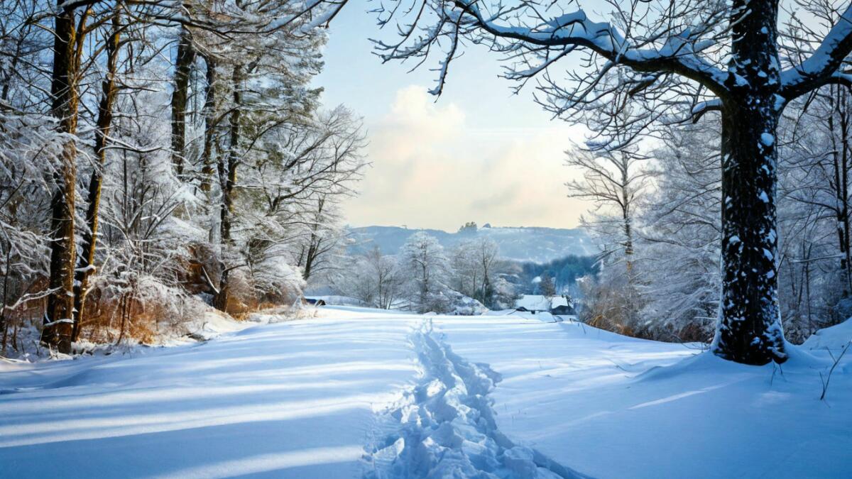 В Крым придут снег и морозы: погода вернется к климатической норме