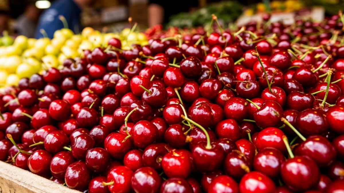Как выбрать качественную черешню: советы покупателю