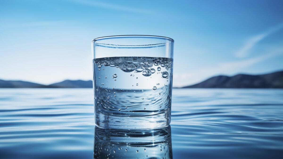 Сколько воды нужно пить человеку: мифы и научные факты