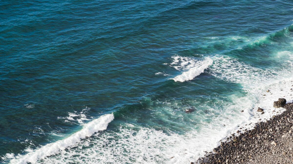 Николаевка в Крыму может стать городом: курорт будущего на берегу Чёрного моря