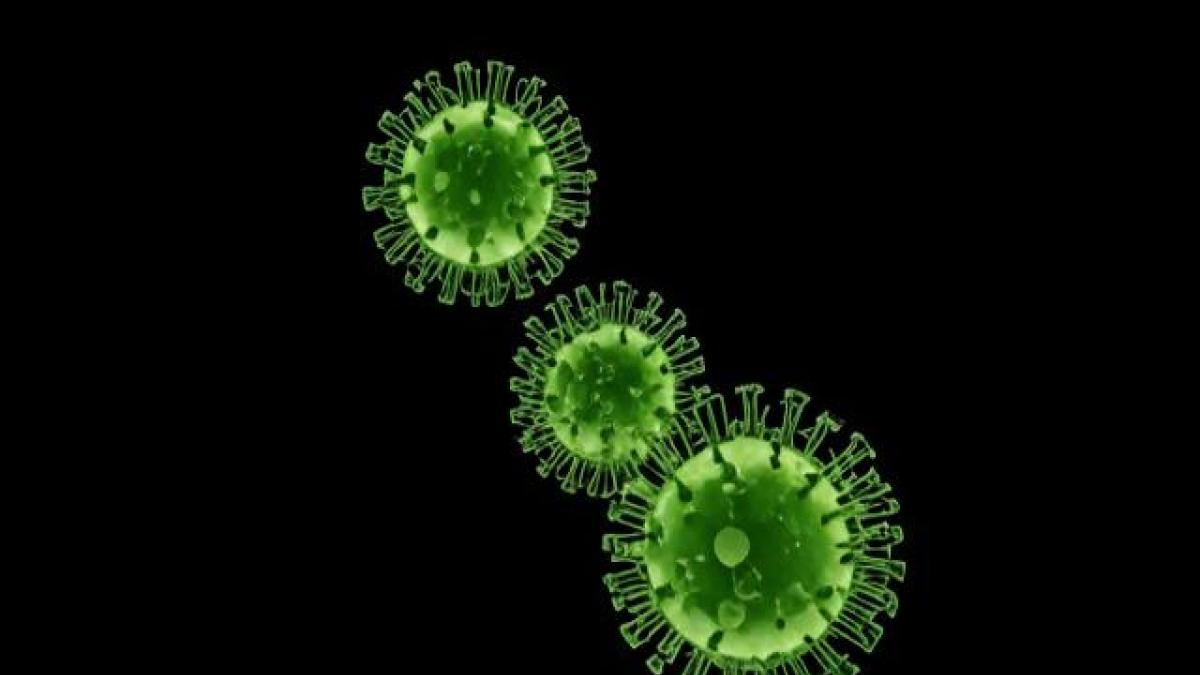 Коронавирус в Крыму: заболеваемость снизилась на 33%